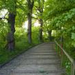 Treppe am Vogelberg